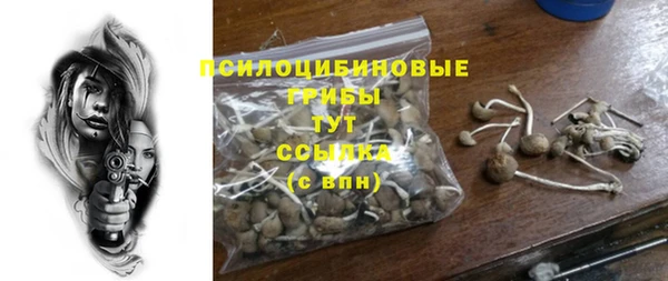 PSILOCYBIN Куйбышев