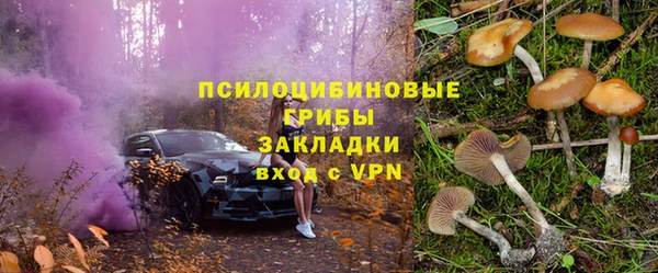 PSILOCYBIN Куйбышев