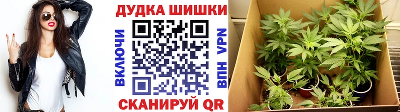 Купить где  Канск  Конопля индика 